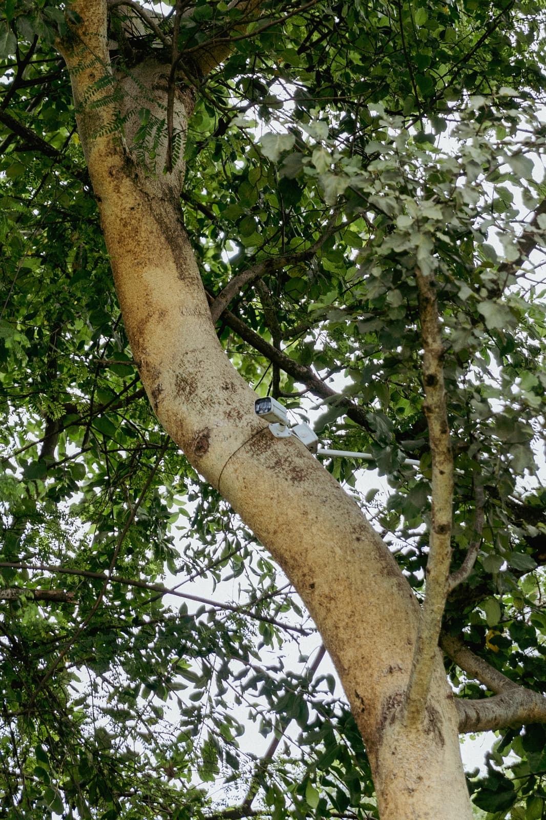 Education and Spiritual Guidance for Young Seminarians